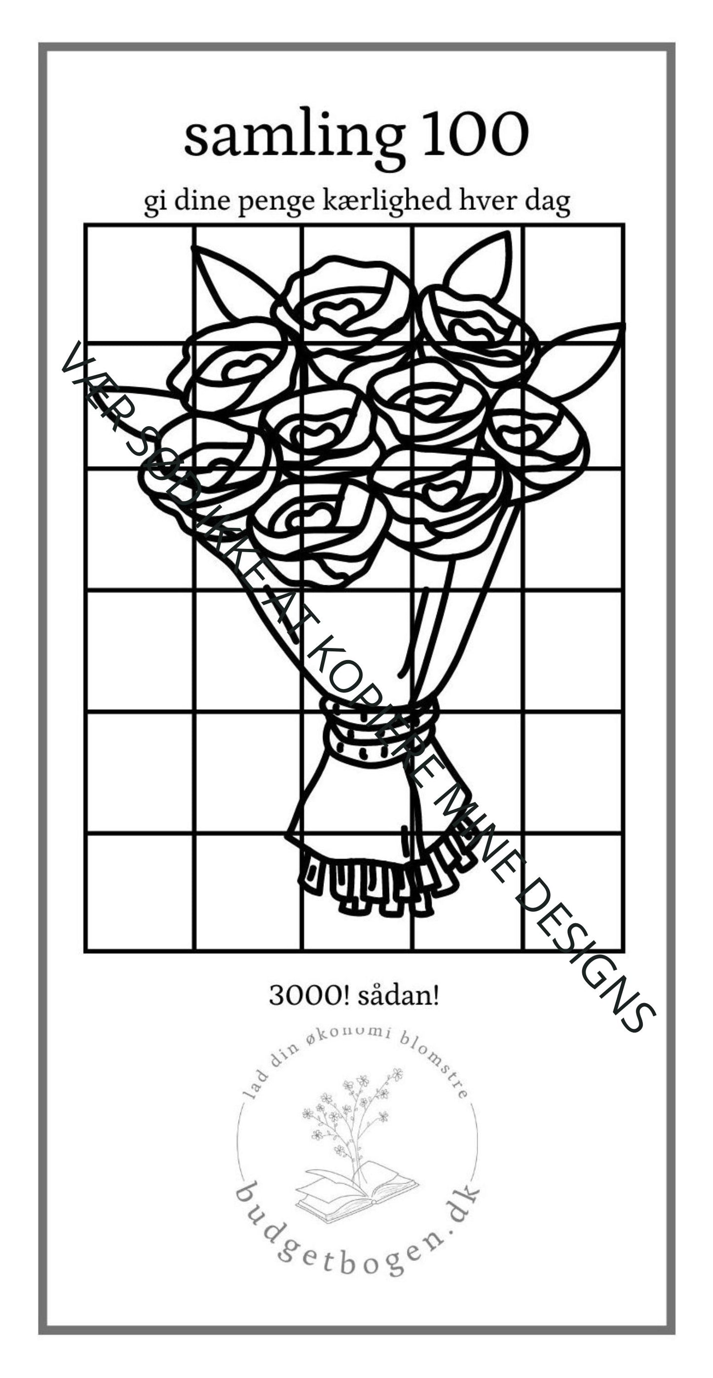 100'e challenge - opnå 3000 kr.